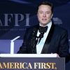 Elon Musk hints 80-hour-a-week DOGE job for ‘high-IQ revolutionaries’ will be unpaid | US News