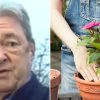 Alan Titchmarsh issues stark warning over ‘real danger’ of foreign imports as he urges gardeners ‘don’t do it!’