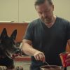 Ricky Gervais pays tribute to After Life dog after canine co-star’s death | Ents & Arts News